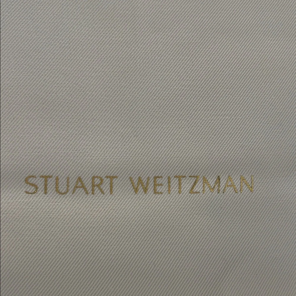 Stuart Weitzman Satin Dust Bag in White - 14x10